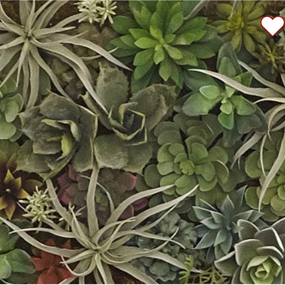 Pottery Barn Faux Succulent Wall Art Large - Picture 4 of 10